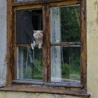 Слышь, братан..! Закурить есть..? :: Роман Пацкевич