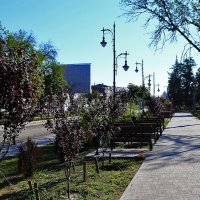 На аллее :: Юрий Гайворонскiий На аллее :: Юрий Гайворонскiий