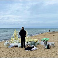 Цветы у моря. :: Валерия Комова Цветы у моря. :: Валерия Комова