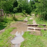 дорога после дождя :: Владимир дорога после дождя :: Владимир
