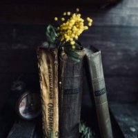 Золя (телефонофото) :: Елена 