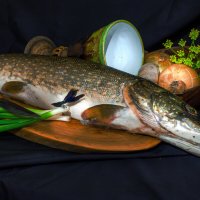 Натюрморт с щукой и стрекозой :: Евгений Тарасов Натюрморт с щукой и стрекозой :: Евгений Тарасов