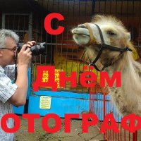С Днём фотографа! :: Сергей Сомихин С Днём фотографа! :: Сергей Сомихин