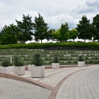 Гуляем в парке :: Александр Гуляем в парке :: Александр