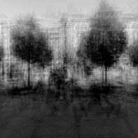 . :: anton laba