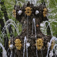 Позолоченные маскароны фонтана Коронный :: Татьяна Машошина