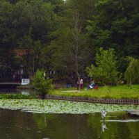 Зеленоградск, парк "Плантаже". :: Константин Белоногов