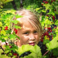 медвеженок в смородине) :: Артём Евтюхов медвеженок в смородине) :: Артём Евтюхов
