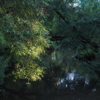 У Тихой Воды :: юрий поляков У Тихой Воды :: юрий поляков