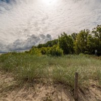 Прибрежная зона... :: Николай Гирш