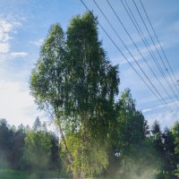 Dust in the wind :: Дмитрий Костоусов