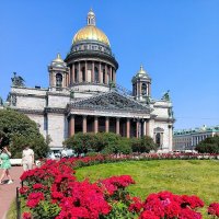 Исаакий и розы. :: Ольга 