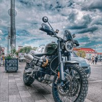 TRIUMPH :: Larisa Kuznetsova