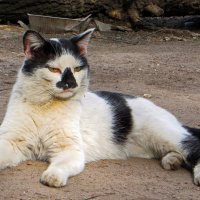 +++++ :: Александр Лад