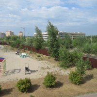 Молодые деревца. :: Андрей Макурин