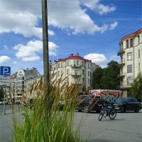 трава у дома :: sv.kaschuk 