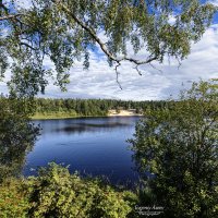 Лето в Рощино :: Евгений Лето в Рощино :: Евгений