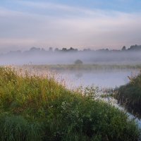 утренний туман :: Galina утренний туман :: Galina