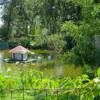 в парке Берега :: Сеня Белгородский в парке Берега :: Сеня Белгородский
