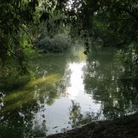 В Харитоновском парке :: Елена Шаламова В Харитоновском парке :: Елена Шаламова