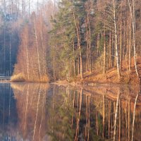 В утреннем свете............. :: Юрий Цыплятников