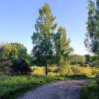 д.Белошкино :: Артем 
