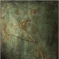 /*/ :: Oleg Rastorguev