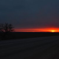На рассвете. :: Дарья Боева