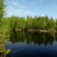 лесное озеро :: Владимир лесное озеро :: Владимир