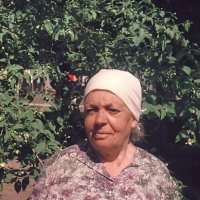 Бабушка :: Александр Чеботарь Бабушка :: Александр Чеботарь