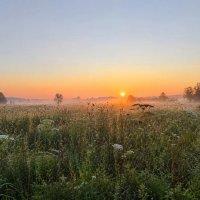 Прекрасное утро :: Денис Бочкарёв