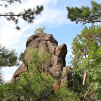 Красноярские столбы :: Евгения Каравашкина
