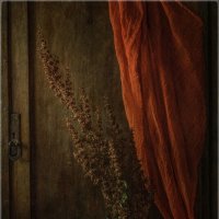 /*/ :: Oleg Rastorguev