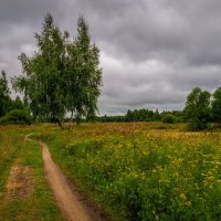 Между двух дождей. :: Андрей Дворников