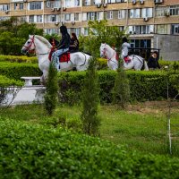 Наездники :: Анатолий Чикчирный