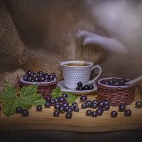 Бархатная симфония лета :: Svetlana Galvez