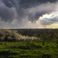*** :: Яна Горбунова