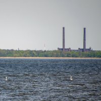 Приморск :: Gen 