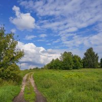 Палитра июля... :: Владимир Жданов