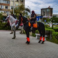 Наездники :: Анатолий Чикчирный