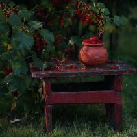 С красной смородиной... :: Liliya 