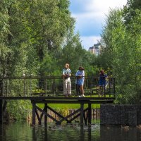 Прогулки в Летнем Парке :: юрий поляков