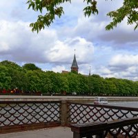 Вид на остров И.Канта :: Сергей Карачин