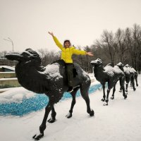Еду люди,на верблюде :: Георгиевич 