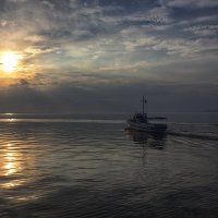 * :: Александр Лисовский
