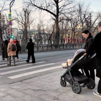 *** :: Владимир Захаров