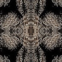 Thougs :: AL Reborn