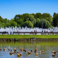 Лето в Царицыно :: Ольга 