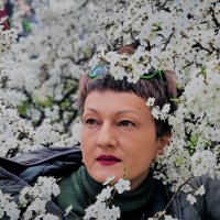 Портрет :: Лана 