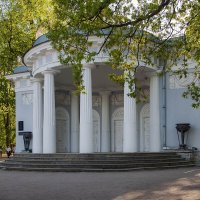 Парковые зарисовки. :: Лилия *